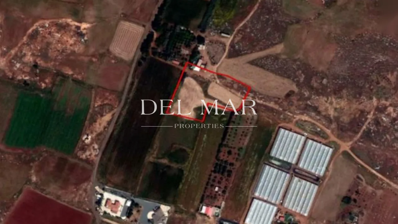 Industrial Field, Paralimni, Famagusta